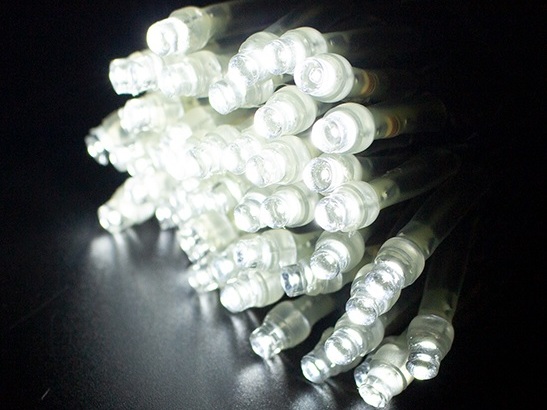 2芯LEDストリングライトRY2　2B100W2　ホワイト