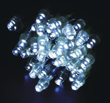 2芯LEDストリングライトRY2　2B100CW2　クリスタルホワイト