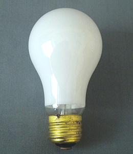 一般球　E26　220V20W　PS55　W・白　【取り寄せ商品E】