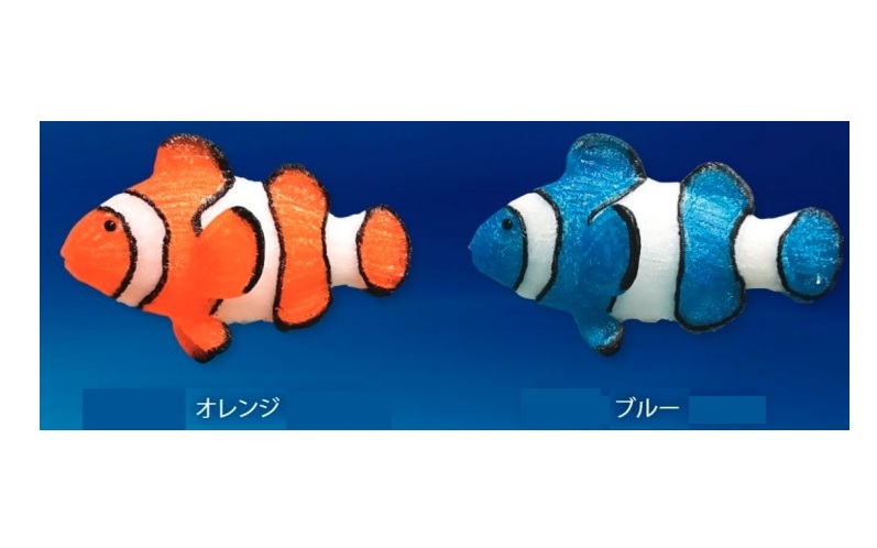 カクレクマノミ RY2　GLKUMANOMIOR・GLKUMANOMIB