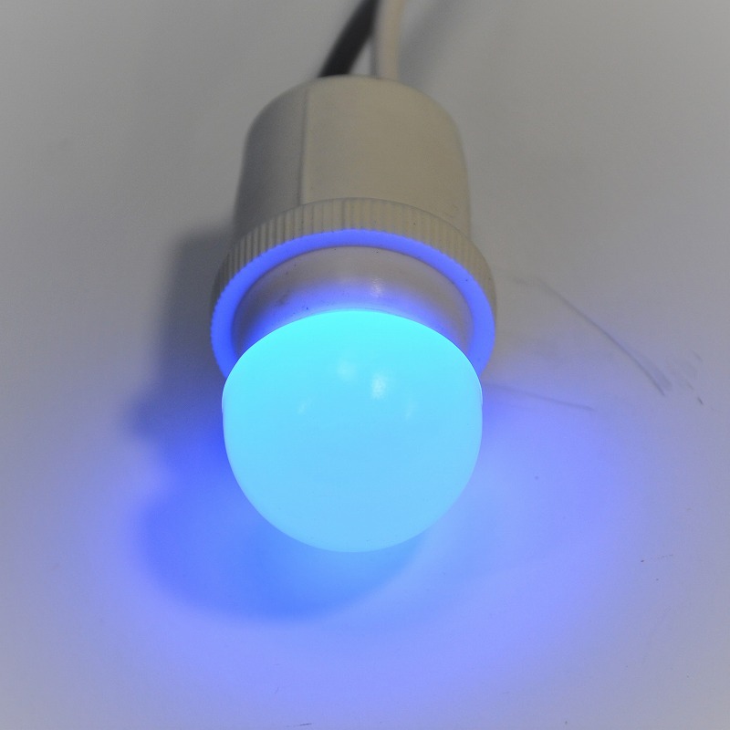 FLED　R25E17-12-3B　青（ブルー）　E17　DC12V0.24W　LEDランプDC12V