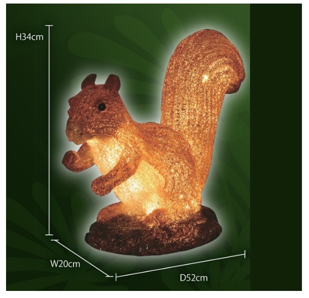 リス大型　GLSQUIRRELB