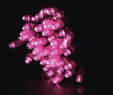 2芯LEDストリングライトRY2　2B100PI2　ピンク