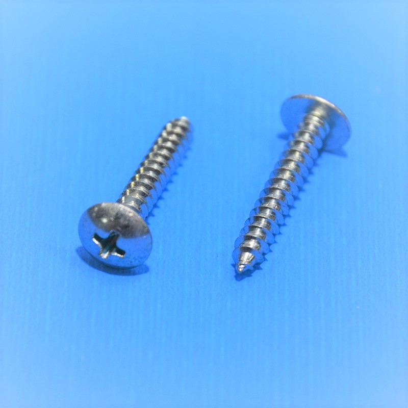 Aトラス+　4×25　Aタッピング　ユニクロ　100本
